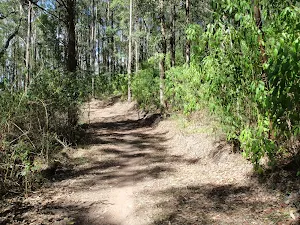 Glasson's Trail