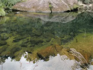 Pool on Erskine Creek
