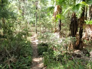 Walking though the dense valley