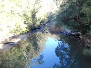 Piles Creek