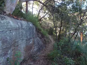 The Magazine track