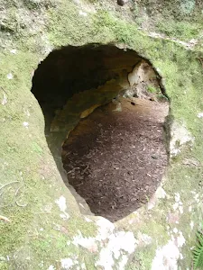 Window to cave
