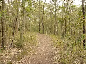 Red track on Mt Sugarloaf near Newcastle