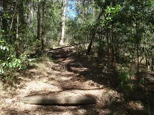 Steps leading up the hill