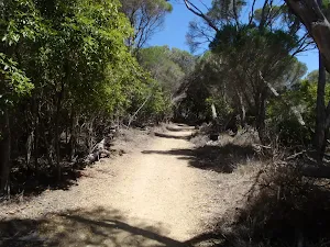 Track to Wallagoot Gap