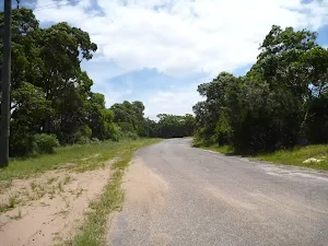 Sealed level road on the coastal walk in the Wallarah Pennisula