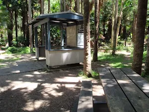 The Palms Picnic Area