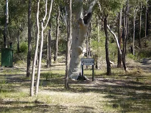 Tunks Ridge Reserve
