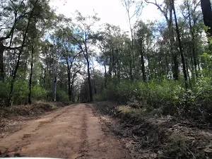 Nepean Lookout fire trail