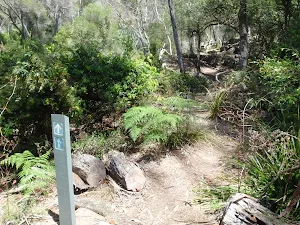 Arrow marker along the track