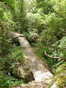 Crossing Congham Creek