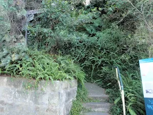Winding along suburban paths