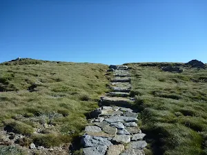 Main Range track on Carruthers Peak