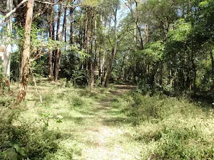 Very green
