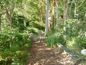 Track on Galgabba Point walk near Swansea