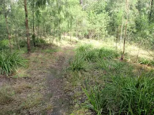 Machins Crater track near old fire place