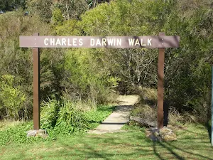 The Archway in Wilson Park