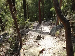 Nice walking