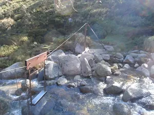 the flying fox