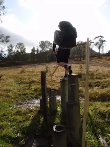 walking from the congewai east track head