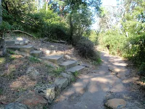 Bottom of the Iluka and Morella access track