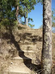 Steps up to the middle Sea Eagle Lookout