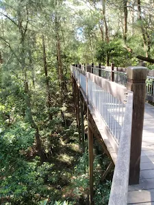 high boardwalk