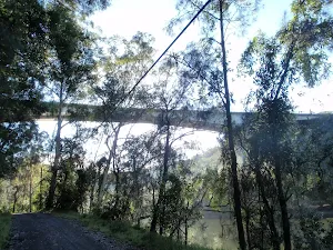 Going under the freeway bridge