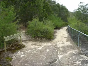 Elouera Lookout