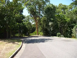 The end of Ridgeway road in New Lambton Heights close to Blackbutt Reserve