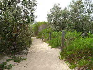 Sandy track near the Owens Walkway in Redhead