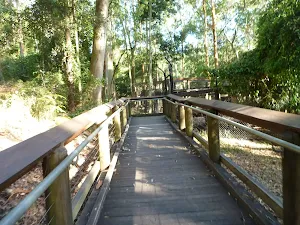 Boardwalk at Blackbutt Wildlife Exhibits