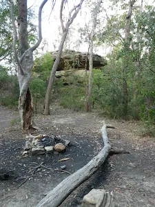 Singa-Jingawell Creek Campsite