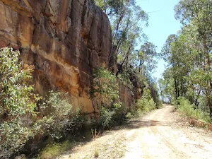 Tall cutting on Donny's Track