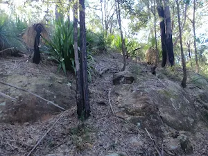 Steep sides make for interesting vegetation