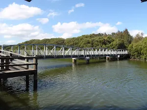 Davies Reserve to the Salt Pan Creek Footbridge