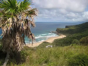 From Burgh track looking down on Burning Palms