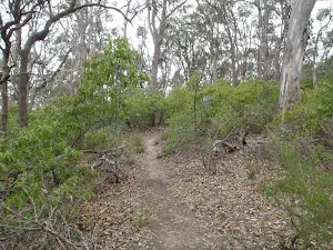 Track east of rock arch