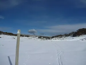 Following the snowpoles