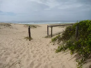 Timber posts with the Redhead Beach in the background