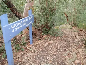 Magdala Gully sign