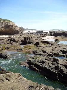 Rock pools at Caves Beach Caves