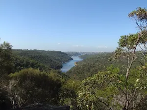 Looking up Middle Harbour from the Bluff