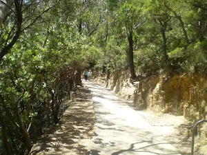 Track to Three Sisters