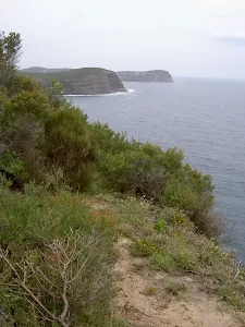 Bouddi Coast