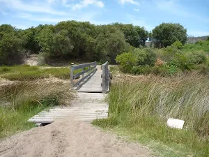Timber bridge over Pinney's Creek in the Wallarah Pennisula