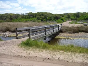 Timber bridge over Pinney's Creek in the Wallarah Pennisula