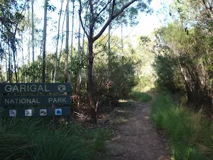 Entering Garigal National Park