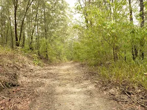 German Point Rd in the Watagans