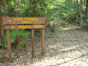 Timber sign in Blackbutt Reserve